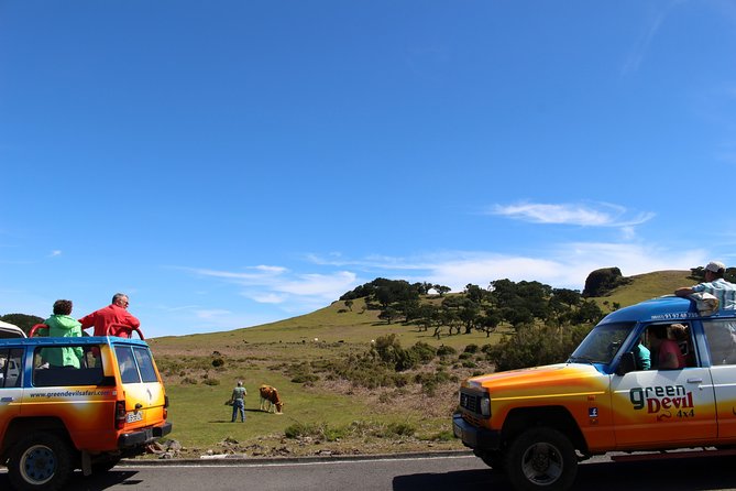 Private Small Group Full Day 4x4 Tour in Northwest Madeira - Ribeira da Janela, Seixal, and Village Time That Doesn’t Feel Scripted