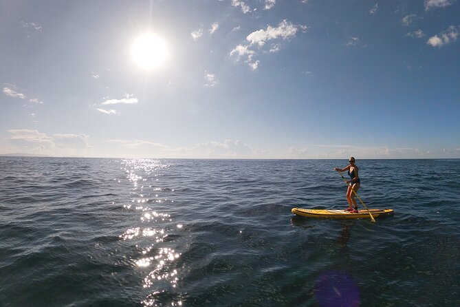 Private Stand Up Paddle Tour in Câmara de Lobos - Safety, pacing, and the guide factor (Roberto is a strong example)