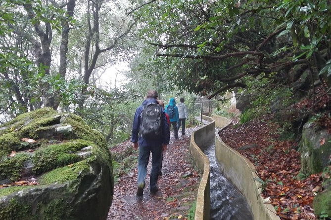 Private Sunrise Guided hike on Pico do Areeiro or other custom - Price and value: what $420.53 gets you, and what can add up