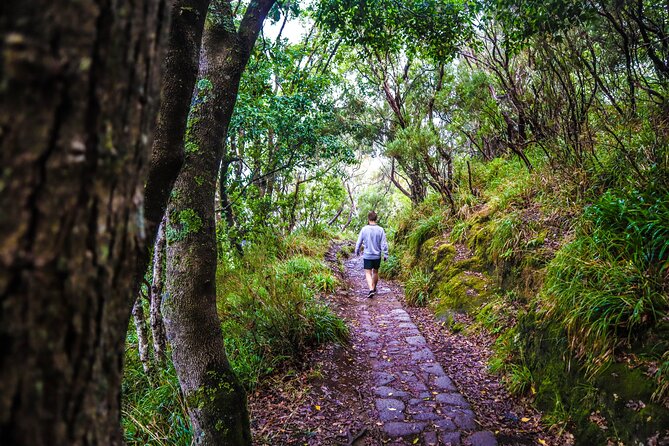 Private Sunrise Pico do Areeiro Half Day with easy levada walk - Pickup logistics that actually matter when you leave at 6:00 am