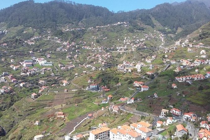 Private Tour Halfday South Madeira - Southern Madeira in a Tight 4-Hour Block