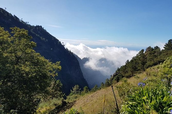 Private Tour Nun's Valley Halfday - Stop 2 At Pico dos Barcelos: Funchal Panoramas You Can Actually Read
