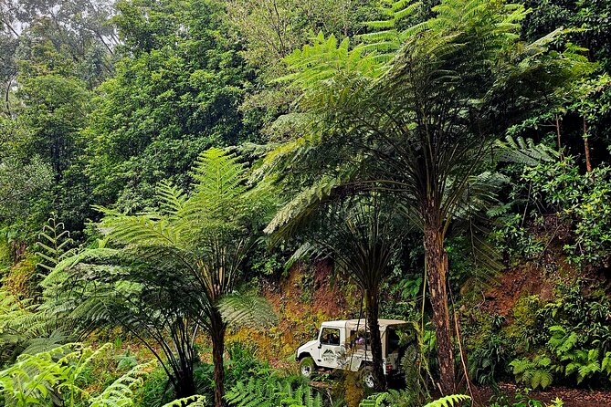 Private Tour on Madeira Island (max 6 people) - São Vicente Finish: Ending the Day With a Real Local Feel
