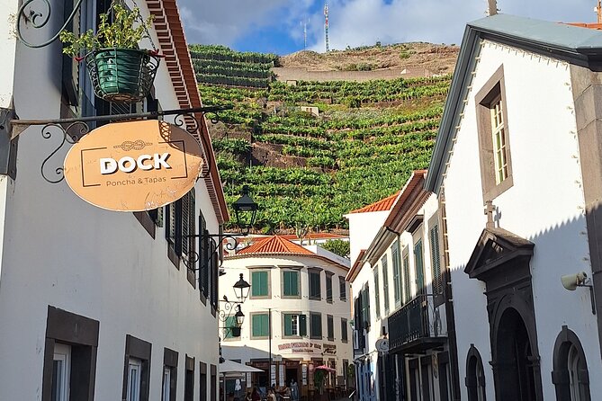 Private Tour Skywalk and Valley of the Nuns - Camara de Lobos: fishermen village time without a ticket