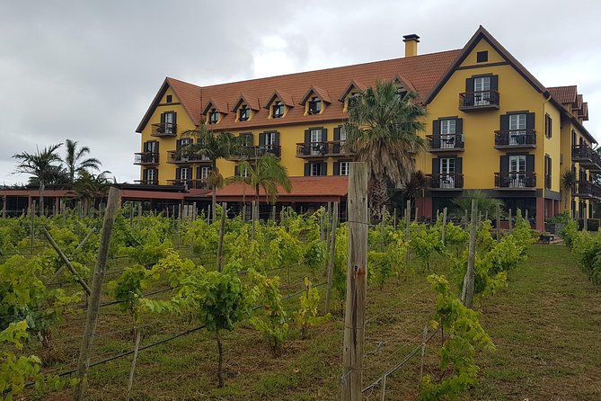 Private Tour The Biosphere Santana - Santana Parish and the UNESCO Biosphere Views You Can Feel