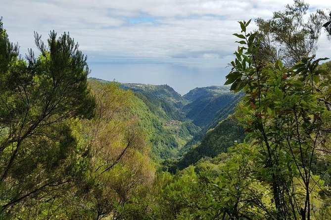 Private Tour The Biosphere Santana - What Makes the Private Guide Worth It (Especially in the “In-Between” Stops)