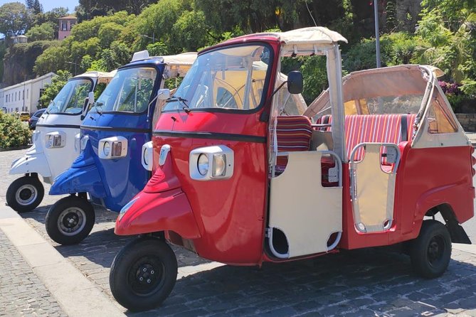 Private Tuk Tuk Tour to Old Town + Monte in Funchal - Price and tickets: what $47.77 covers, and what it does not