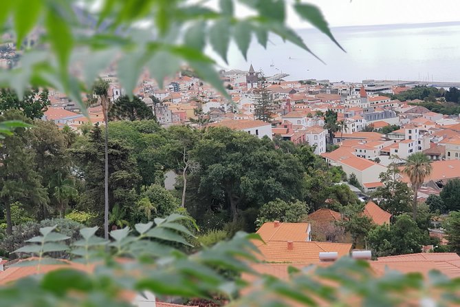 Private Tuk Tuk Tour to Old Town + Monte in Funchal - Paroquia de Nossa Senhora do Monte: a quick church stop that frames the area
