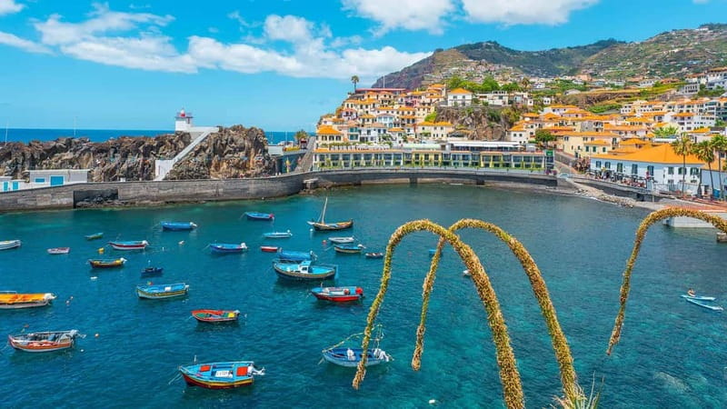 Private Vespa Tour Funchal & Câmara Lobos (3hrs) - Key Points You’ll Care About