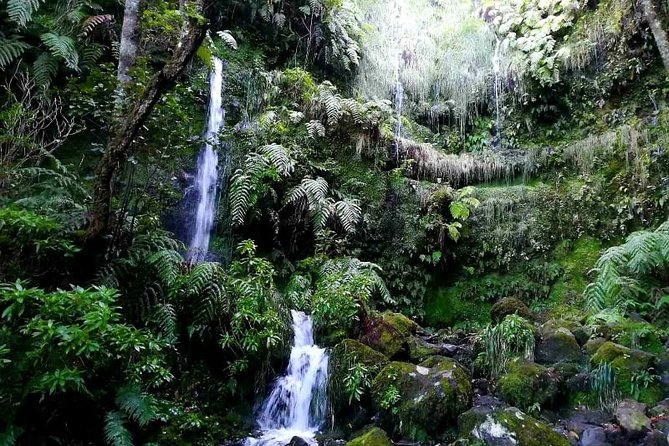Queimadas-Caldeirão Verde - Small-group size and guide care: why it matters