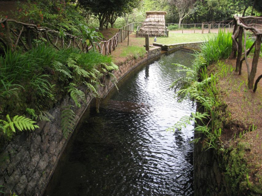 Queimadas Caldeirao Verde Full day hike - From Queimadas guesthouse to the Levada, where the day gets good