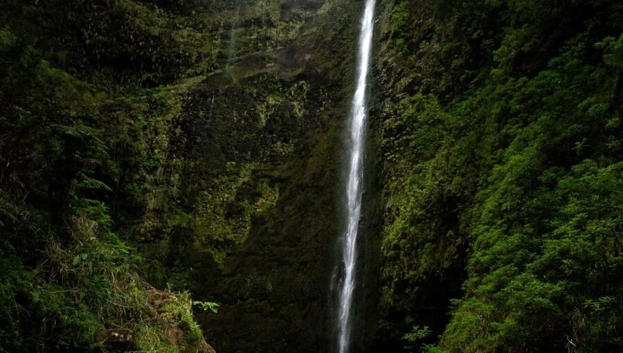Queimadas Caldeirao Verde Full day hike - The tunnel sections, narrow levada paths, and oncoming traffic reality