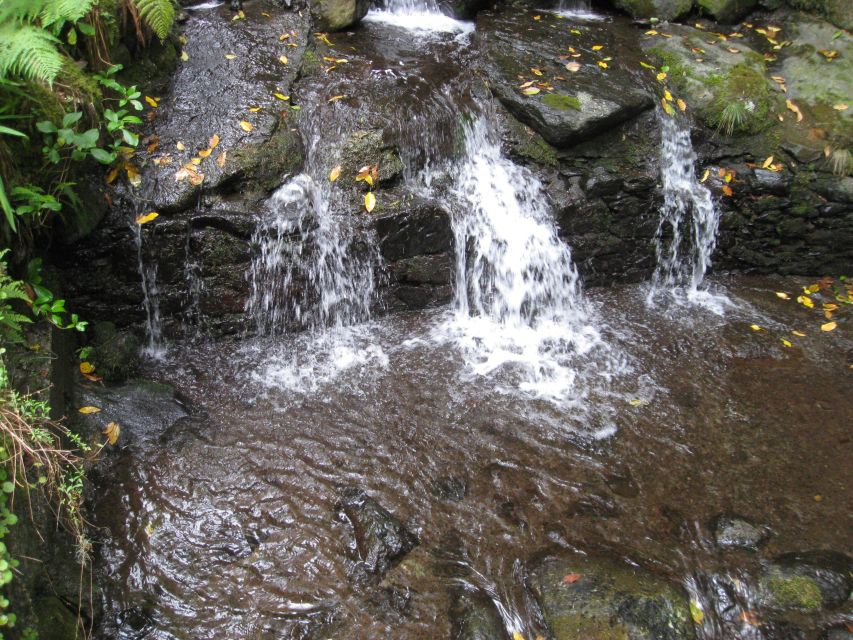 Queimadas Caldeirao Verde Full day hike - What to bring for humid footing, tunnels, and a real packed lunch