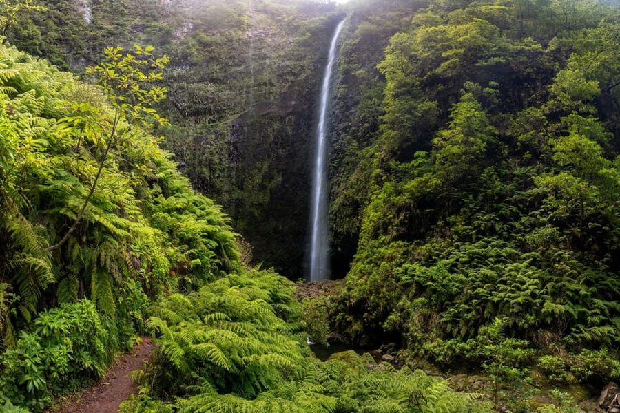 Queimadas Caldeirão Verde Madeira Island Walk - Key things I’d circle before you go