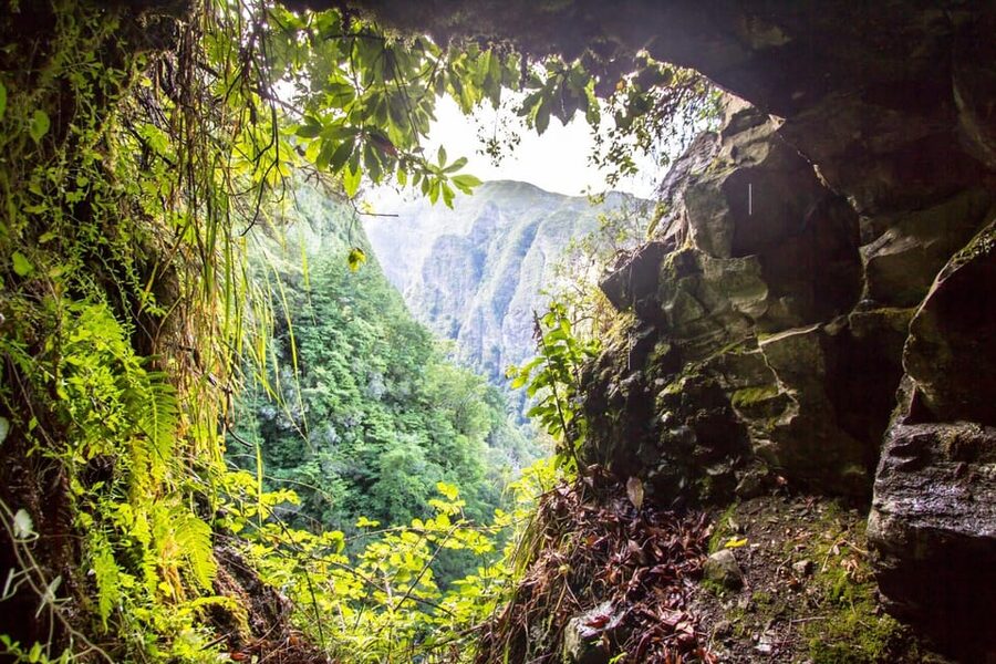 Queimadas Caldeirão Verde Madeira Island Walk - Why the Queimadas to Caldeirão Verde walk feels different