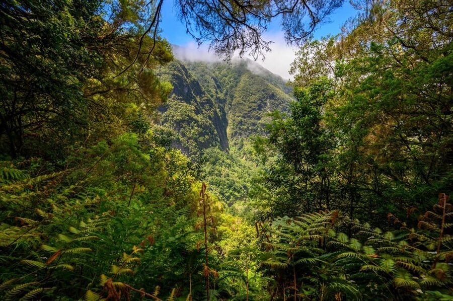 Queimadas Caldeirão Verde Madeira Island Walk - Caldeirão Verde waterfall: the moment you pause