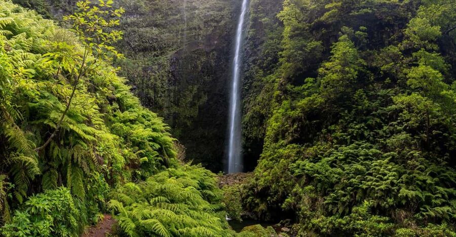 Queimadas Caldeirão Verde Madeira Island Walk - Should you book this Queimadas Caldeirão Verde walk?