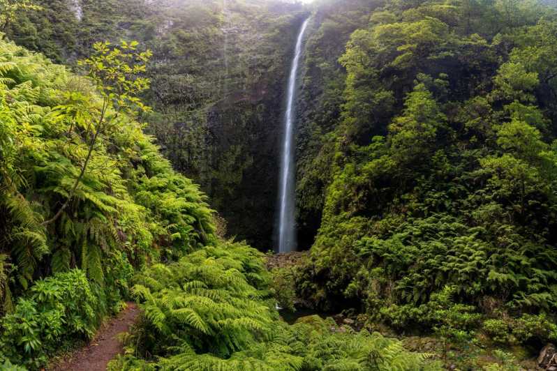 Queimadas Caldeirão Verde Madeira Island Walk - The Laurisilva UNESCO forest, and why you will feel it