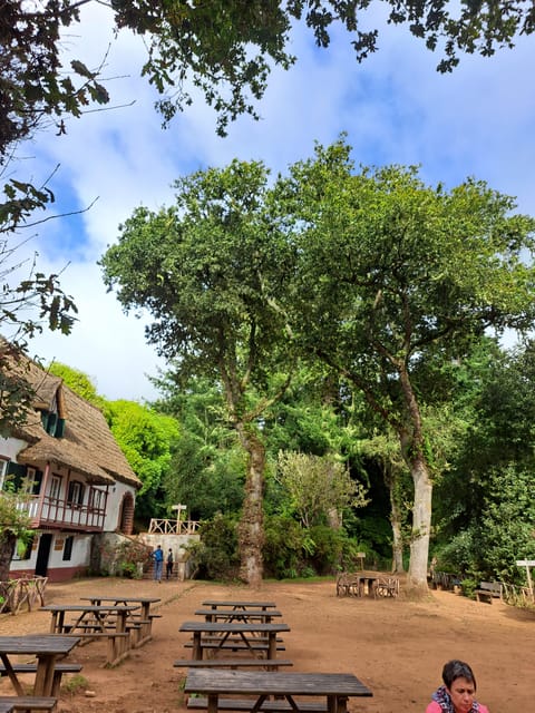 Queimadas Caldeirão Verde Walking tour with guide - Caldeirão Verde Levada: a classic Madeira walk with a water theme