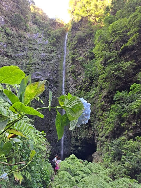 Queimadas Caldeirão Verde Walking tour with guide - Price and value: what 45 USD buys you, and what you still need to cover