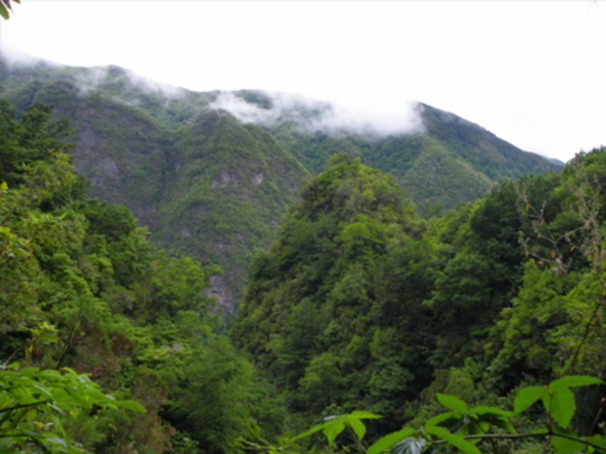 Queimadas Caldeirão Verde Walking tour with guide - Getting to Queimadas forest park: time planning that actually helps