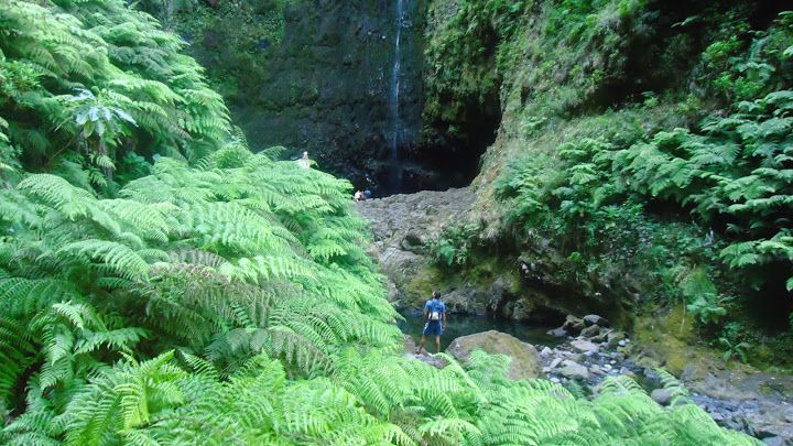 Queimadas Natural Park 5-Hour Guided Hike - Key highlights worth getting excited about