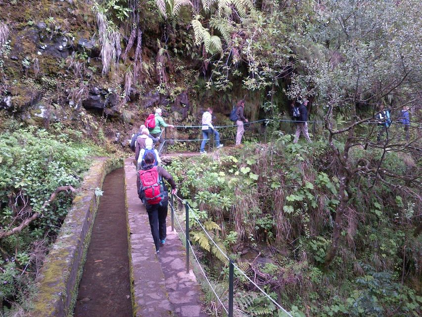 Queimadas Natural Park 5-Hour Guided Hike - Hand-carved tunnels: where the hike gets serious