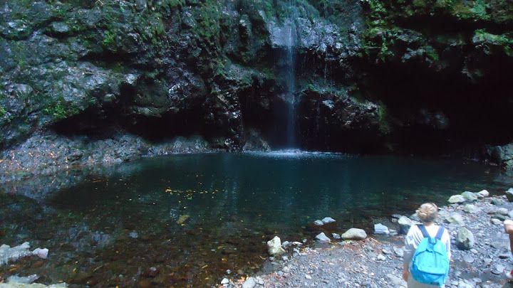 Queimadas Natural Park 5-Hour Guided Hike - Views you can use: valleys, waterfalls, and sea glimpses