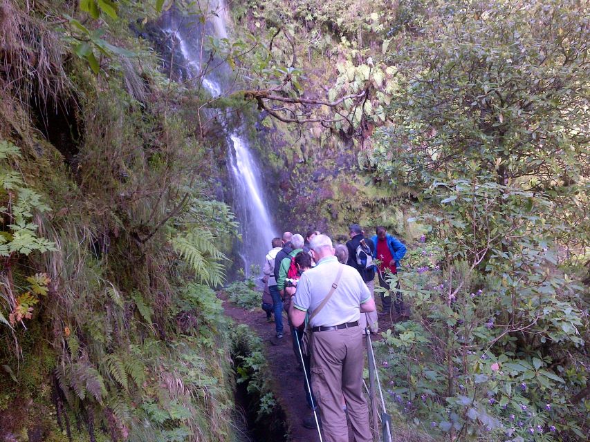 Queimadas Natural Park 5-Hour Guided Hike - The guide experience: upbeat, helpful, and ready for weather