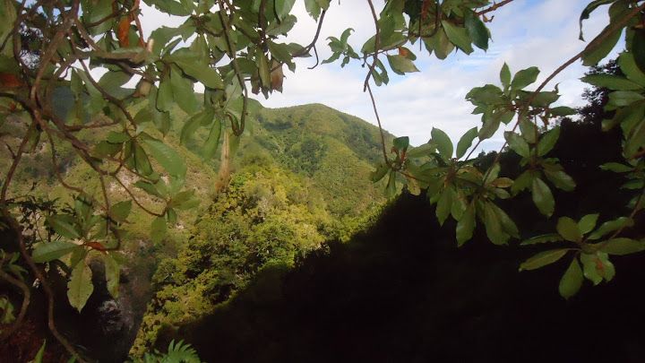 Queimadas Natural Park 5-Hour Guided Hike - Who should book this (and who should skip it)