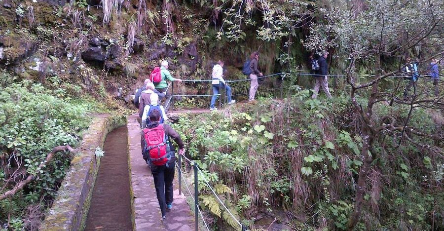 Queimadas Natural Park 5-Hour Guided Hike - Start with the hotel pick-up, then expect a real day out