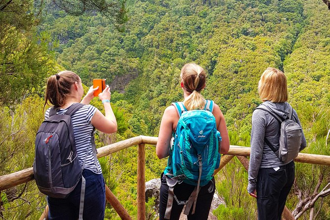 Rabaçal 25 Fontes Levada Walk in Small Groups - Key things that make this hike worth your time