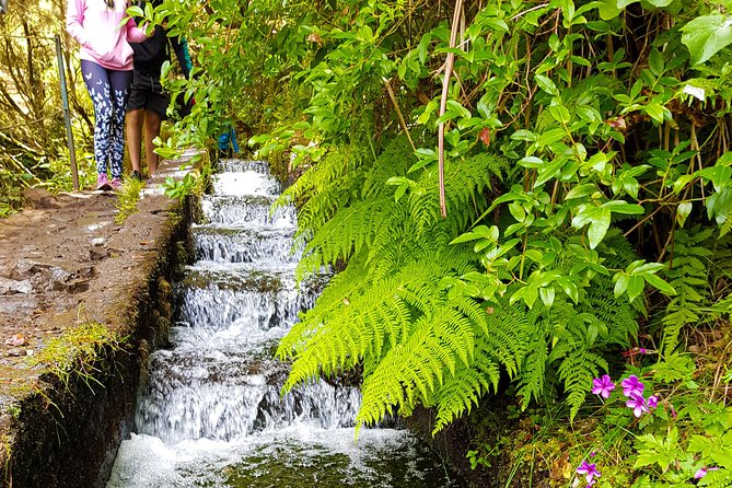 Rabaçal 25 Fontes Levada Walk in Small Groups - Why This Levada Walk Works in Real Life