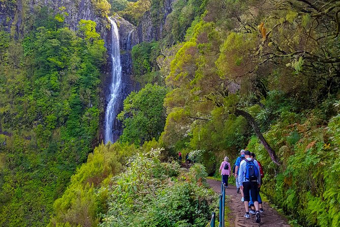 Rabaçal 25 Fontes Levada Walk in Small Groups - The Laurissilva Forest and 25 Fontes Waterfall Moment