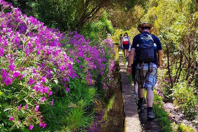 Rabaçal 25 Fontes Levada Walk in Small Groups - Small-Group Guides, Safety Notes, and the Pace That Fits