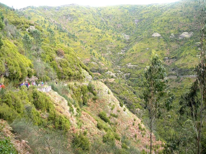 Rabaçal: 25 Fontes & Risco Levada Transfer Self-guided Hike - Key Highlights You Should Know Before You Go