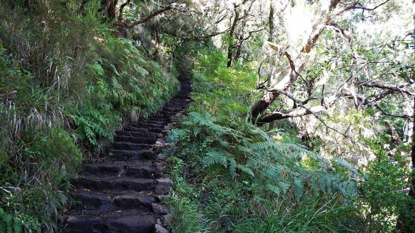 Rabaçal: 25 Fontes & Risco Levada Transfer Self-guided Hike - Getting to Rabacal Park by shared van (and why it matters)