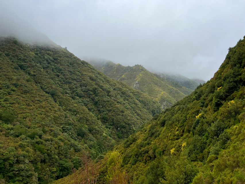 Rabaçal: 25 Fontes & Risco Levada Transfer Self-guided Hike - Your 5-hour hike: 25 Fontes and Risco Levada in the same session