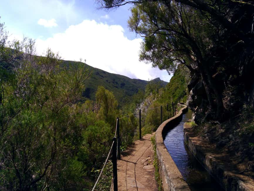 Rabaçal: 25 Fontes & Risco Levada Transfer Self-guided Hike - What you’re really walking through: levadas, Laurissilva, and waterfall rhythm