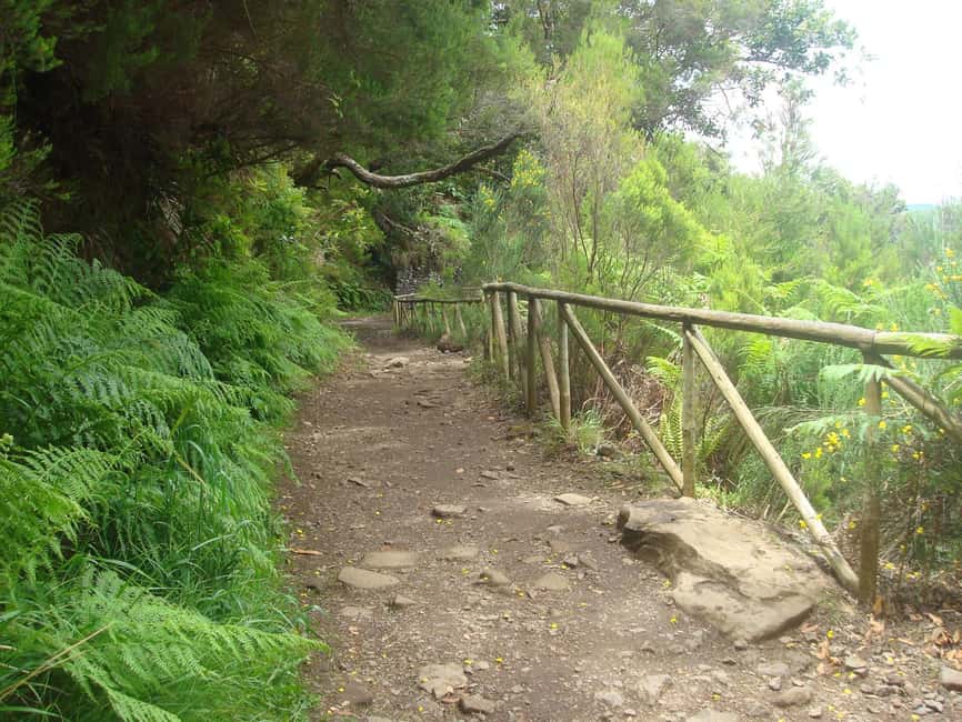 Rabaçal: 25 Fontes & Risco Levada Transfer Self-guided Hike - Casa do Rabaçal: where your 5-hour clock ends