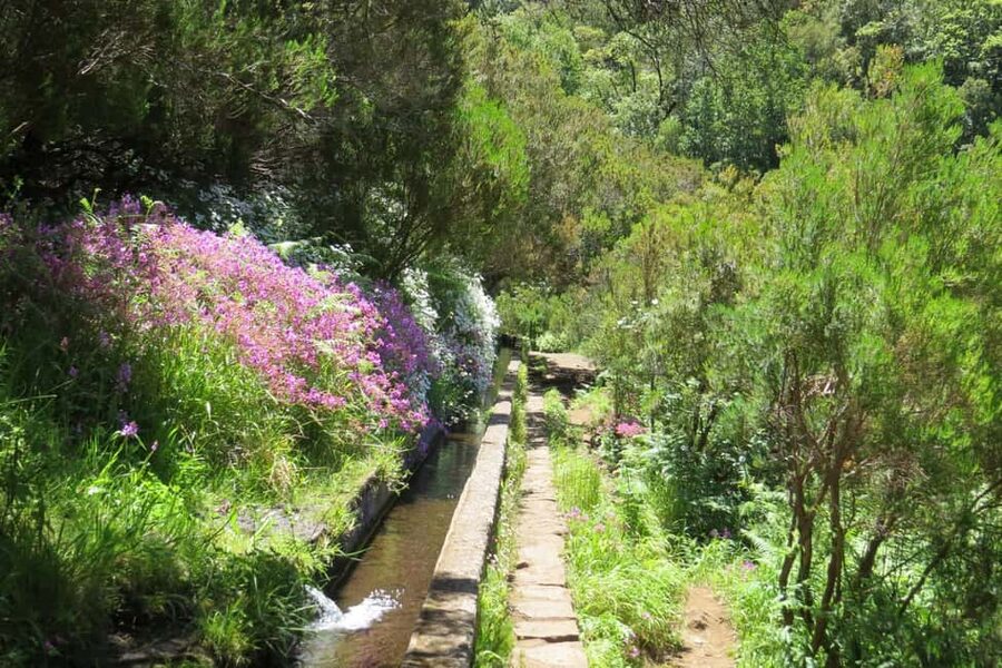 Rabaçal: 25 Fontes & Risco Levada Transfer Self-guided Hike - Who should book this hike, and who should skip it