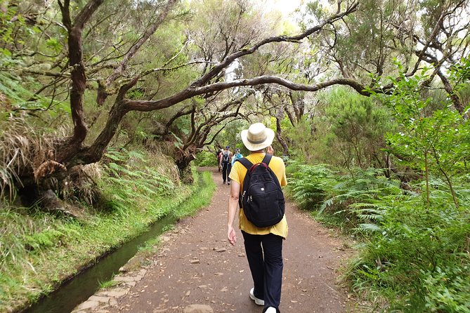 Rabaçal / 25 Fonts - Walking the Levada Trail: 25 Fontes and Cascada da Risco