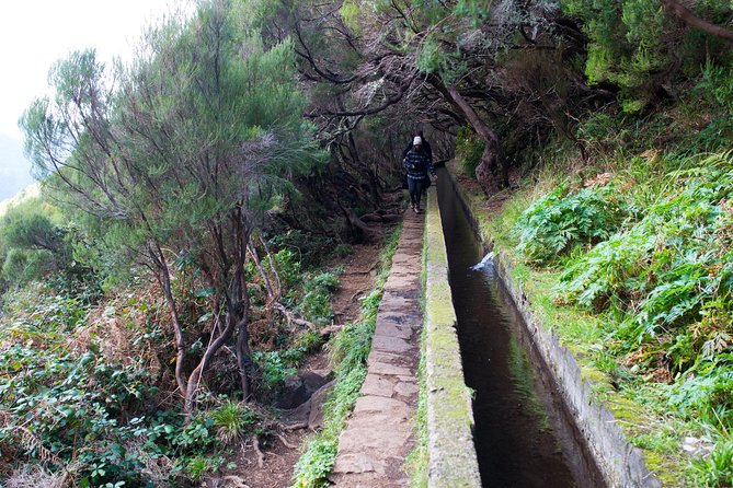 Rabaçal Hiking Tour - How this Rabacal hike fits into your Madeira day