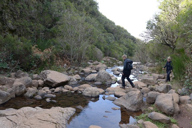 Rabaçal Hiking Tour - Levada das 25 Fontes: why this route is a Madeira classic