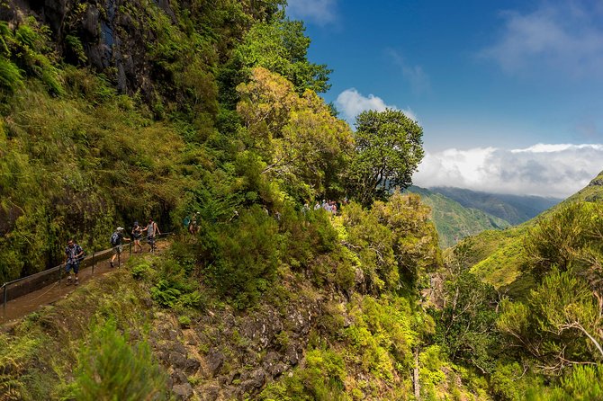 Rabaçal - Levada das 25 Fontes - Price and value for a $55.60 guided day