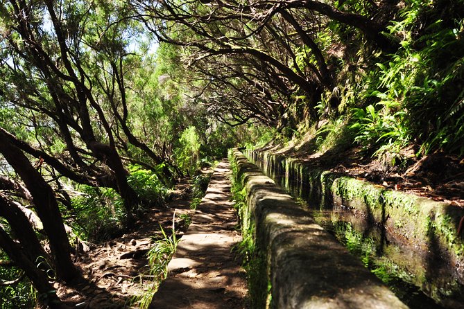 Rabaçal - Levada das 25 Fontes - How long is it, and who should skip it?