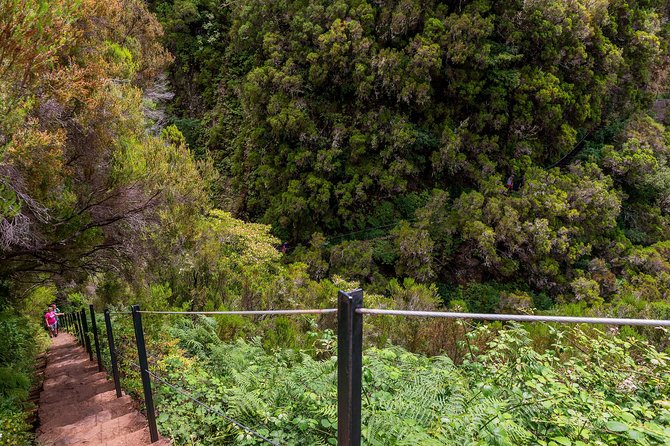 Rabaçal - Levada das 25 Fontes - Should you book Rabaçal - Levada das 25 Fontes?
