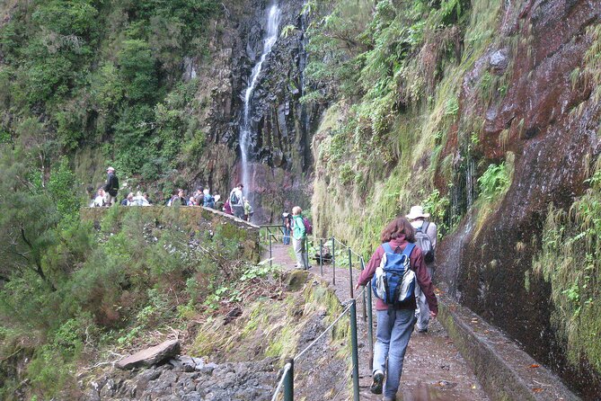Rabaçal - Risco - 25 Fontes Levada Walk - Getting There in Funchal: Meeting Points and Timing That Matter