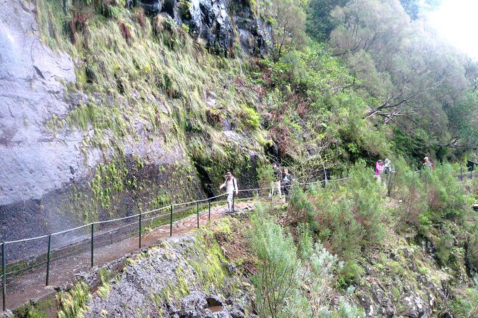 Rabaçal - Risco - 25 Fontes Levada Walk - Stop 1 Meets the Waterfall Story: Why Risco Is Worth It