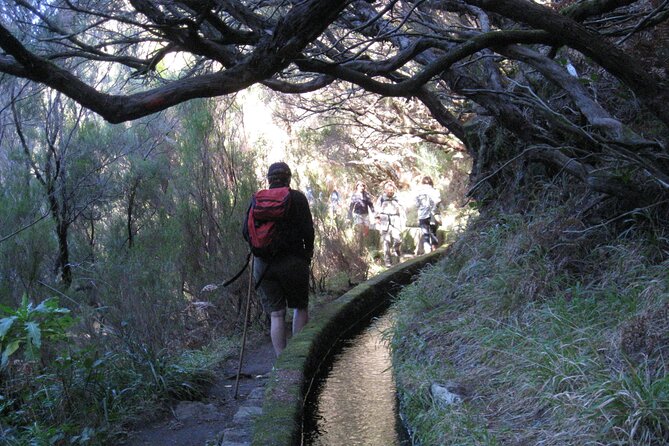 Rabaçal / Risco / 25 Fountains Full-day walk - Why Rabacal, Risco, and 25 Fontes make a great Madeira hike